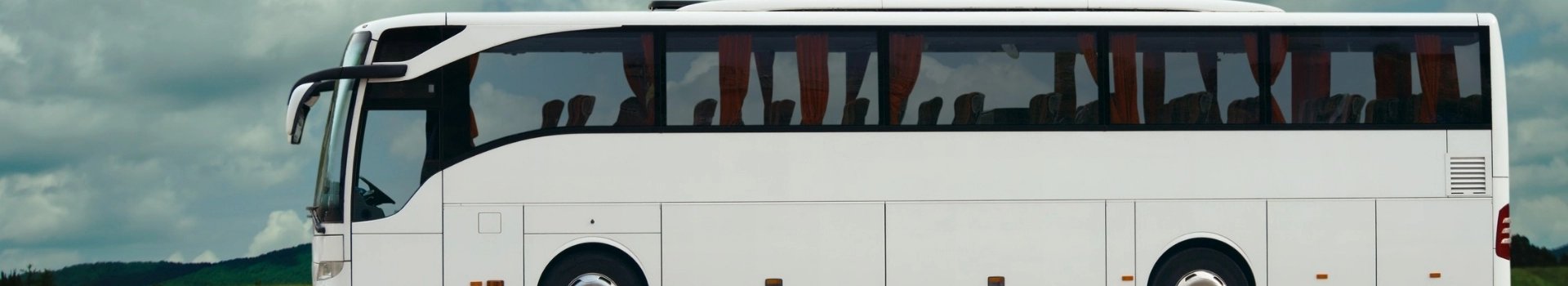 biały autobus